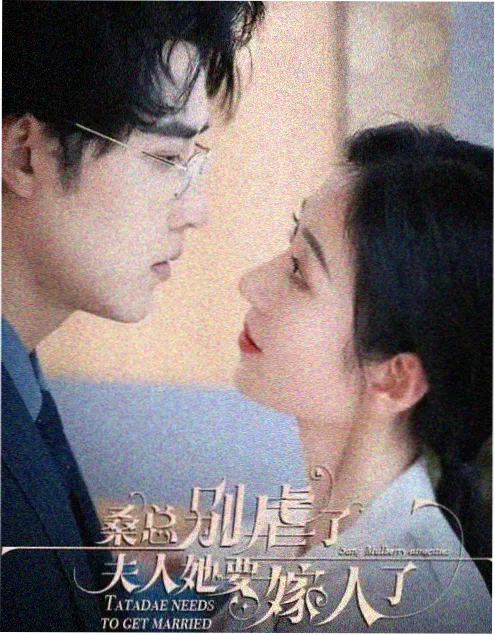 我的团长我的团